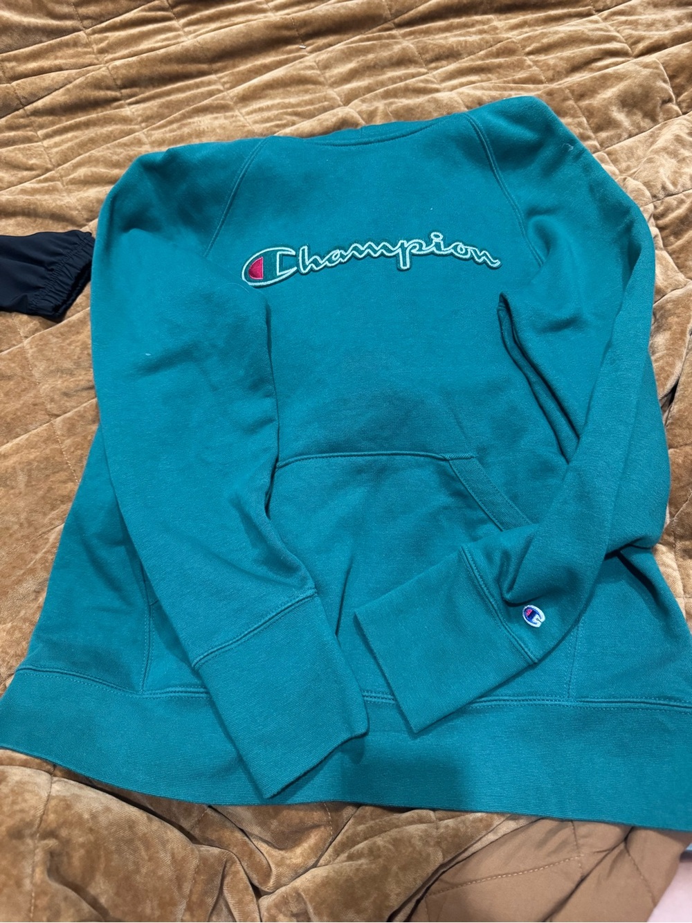 Champion Teal Pullover Hoodie with Script Logo